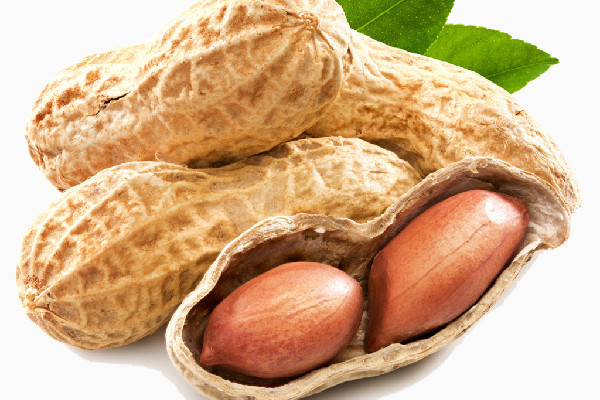 花生可以打漿喝嗎 花生打漿怎樣做好吃 花生可以打漿喝嗎 花生打漿怎樣做好吃