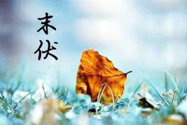 末伏會比中伏熱嗎 末伏會不會涼快點(diǎn)