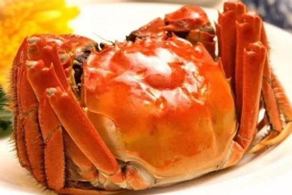 大閘蟹多少錢一斤市場價(jià)2022 大閘蟹哪里的最正宗