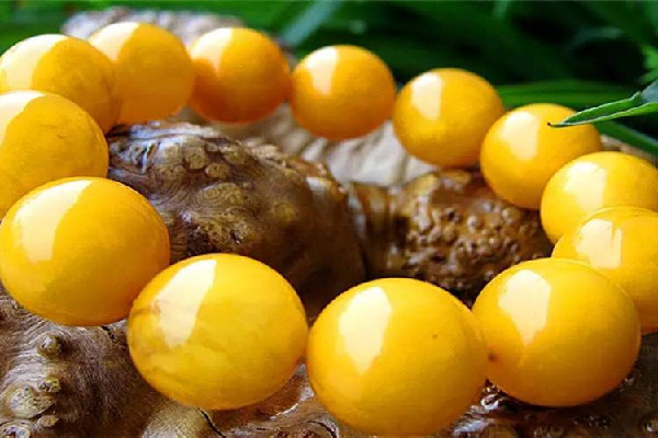 蜜蠟的種類和檔次 蜜蠟什么樣成色最好 蜜蠟的種類和檔次 蜜蠟什么樣成色最好