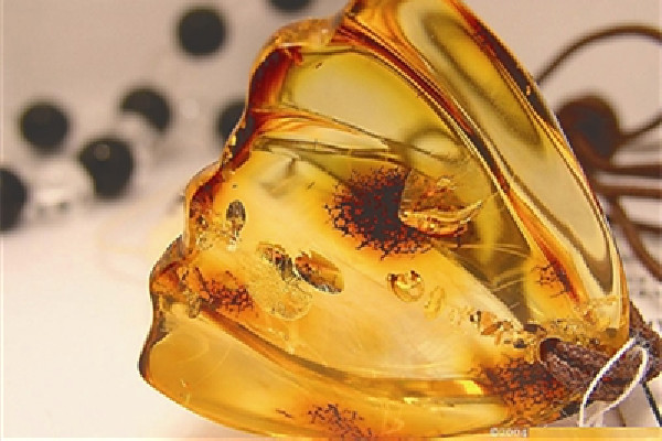 琥珀有辟邪的作用嗎 琥珀適合什么人佩戴 琥珀有辟邪的作用嗎 琥珀適合什么人佩戴