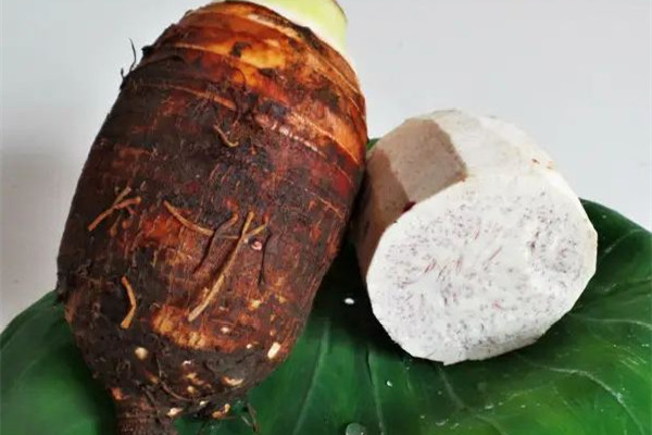 荔浦芋頭買大的好還是小的好 荔浦芋頭怎么挑竅門 荔浦芋頭買大的好還是小的好 荔浦芋頭怎么挑竅門