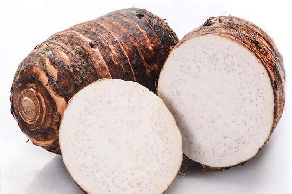 荔浦芋頭可以燉排骨嗎 荔浦芋頭燉多久可以熟 荔浦芋頭可以燉排骨嗎 荔浦芋頭燉多久可以熟