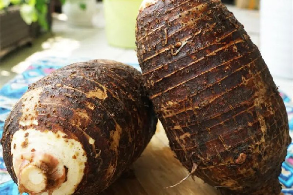 荔浦芋頭要蒸多久才熟 荔浦芋頭蒸著吃好吃嗎 荔浦芋頭要蒸多久才熟 荔浦芋頭蒸著吃好吃嗎