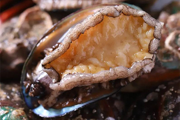 鮑魚蒸多久最佳時間 鮑魚蒸老了怎么補(bǔ)救