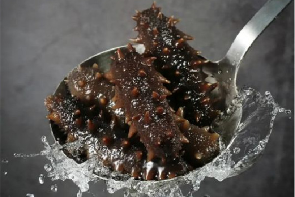 海參是哪里產(chǎn)的最好 海參的等級(jí)如何區(qū)別 海參是哪里產(chǎn)的最好 海參的等級(jí)如何區(qū)別