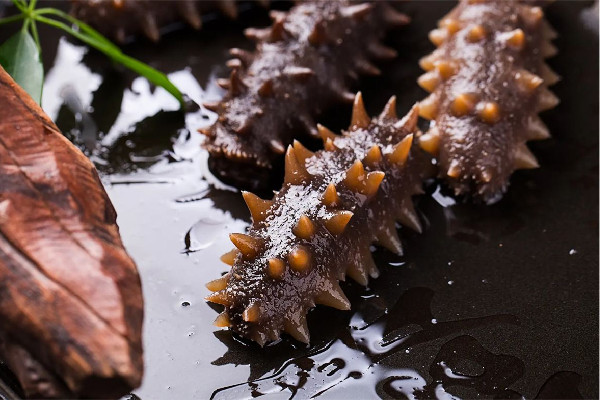 海參要煮多長時間就熟了 海參煮了為什么變小了 海參要煮多長時間就熟了 海參煮了為什么變小了