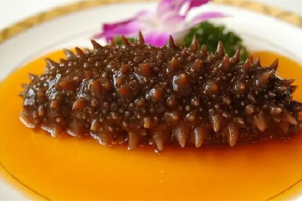 海參可以補腎壯陽嗎 海參對男人性功能有幫助嗎 海參可以補腎壯陽嗎 海參對男人性功能有幫助嗎