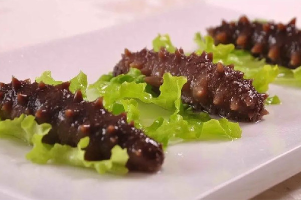 海參燉什么湯比較好 海參燉雞的功效和作用 海參燉什么湯比較好 海參燉雞的功效和作用