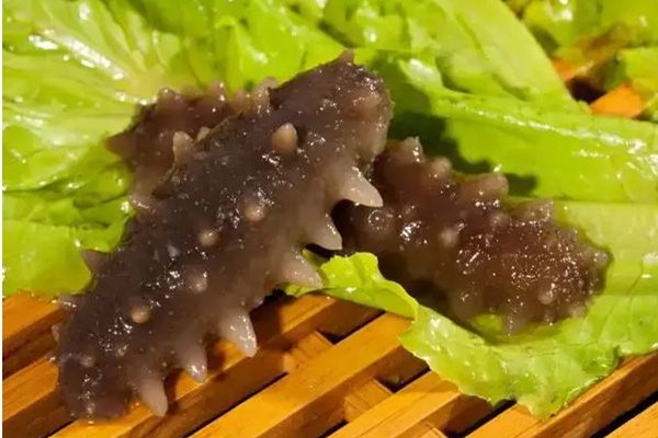 干海參可以直接煮著吃嗎 干海參不泡發(fā)可以直接吃嗎 干海參可以直接煮著吃嗎 干海參不泡發(fā)可以直接吃嗎