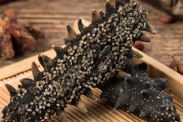 干海參保質(zhì)期幾年 干海參放了10多年了還能吃嗎 干海參保質(zhì)期幾年 干海參放了10多年了還能吃嗎