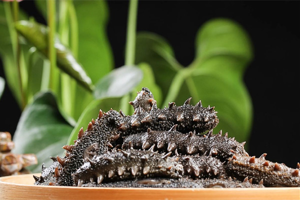 海參要煮多長時間就熟了 海參煮了為什么變小了 海參要煮多長時間就熟了 海參煮了為什么變小了