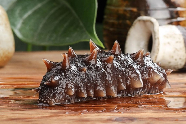 海參燉什么湯比較好 海參燉雞的功效和作用 海參燉什么湯比較好 海參燉雞的功效和作用