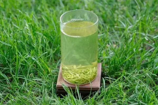 信陽毛尖有點(diǎn)苦咋回事 信陽毛尖喝起來什么味道 信陽毛尖有點(diǎn)苦咋回事 信陽毛尖喝起來什么味道