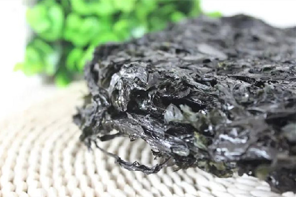 紫菜吃起來像塑料薄膜正常嗎 紫菜怎么辨別真假 紫菜吃起來像塑料薄膜正常嗎 紫菜怎么辨別真假