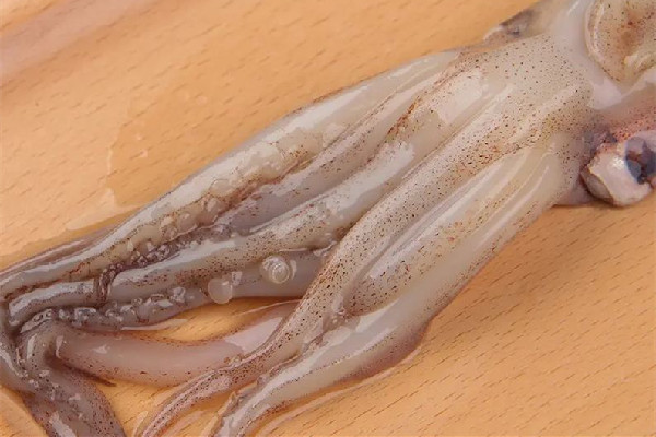 新鮮魷魚怎么處理干凈 新鮮魷魚要不要剝皮 新鮮魷魚怎么處理干凈 新鮮魷魚要不要剝皮