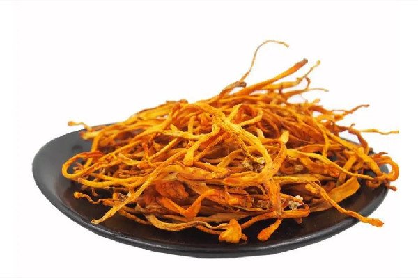 蟲草花放冰箱能保存多久 蟲草花放久了還能吃嗎 蟲草花放冰箱能保存多久 蟲草花放久了還能吃嗎