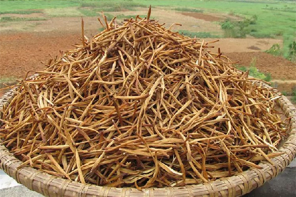 干黃花菜有點酸能吃嗎 干黃花菜發(fā)酸是怎么回事 干黃花菜有點酸能吃嗎 干黃花菜發(fā)酸是怎么回事