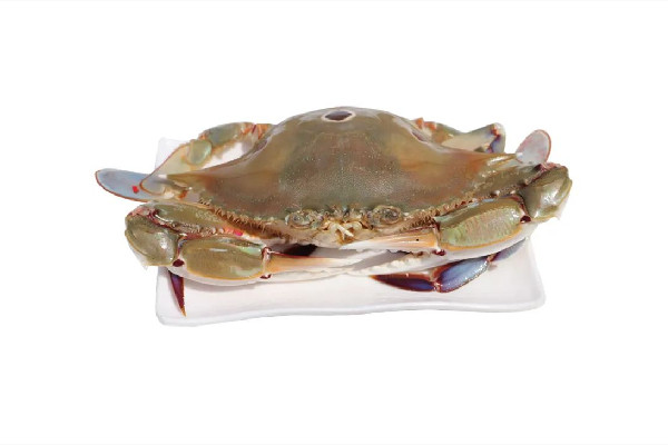 三眼蟹怎么處理干凈 三眼蟹可以冷凍保存嗎 三眼蟹怎么處理干凈 三眼蟹可以冷凍保存嗎