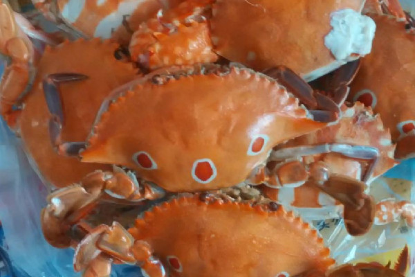 三眼蟹和梭子蟹的區(qū)別 三眼蟹和梭子蟹哪個(gè)好吃 三眼蟹和梭子蟹的區(qū)別 三眼蟹和梭子蟹哪個(gè)好吃