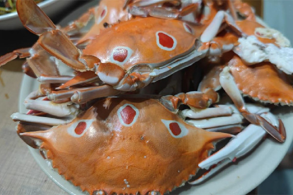 三眼蟹為什么沒人吃 三眼蟹會(huì)不會(huì)有寄生蟲 三眼蟹為什么沒人吃 三眼蟹會(huì)不會(huì)有寄生蟲