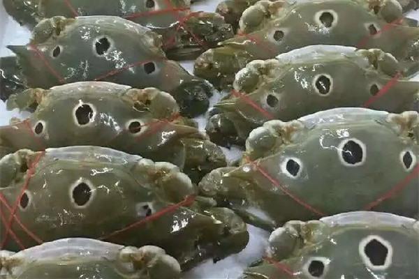 三眼蟹什么季節(jié)吃最好 三眼蟹是公的好吃還是母的好吃 三眼蟹什么季節(jié)吃最好 三眼蟹是公的好吃還是母的好吃