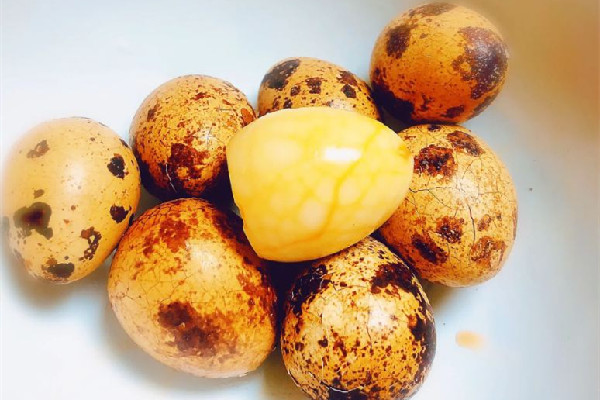 鵪鶉蛋要幾分鐘才熟 鵪鶉蛋要怎么弄著吃 鵪鶉蛋要幾分鐘才熟 鵪鶉蛋要怎么弄著吃