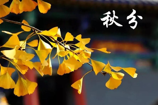 秋分后還熱不熱了 秋分會(huì)出現(xiàn)什么現(xiàn)象 秋分后還熱不熱了 秋分會(huì)出現(xiàn)什么現(xiàn)象