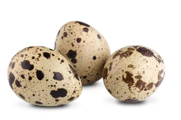 鵪鶉蛋吃了會不會發(fā)胖 鵪鶉和雞蛋哪個膽固醇高 鵪鶉蛋吃了會不會發(fā)胖 鵪鶉和雞蛋哪個膽固醇高