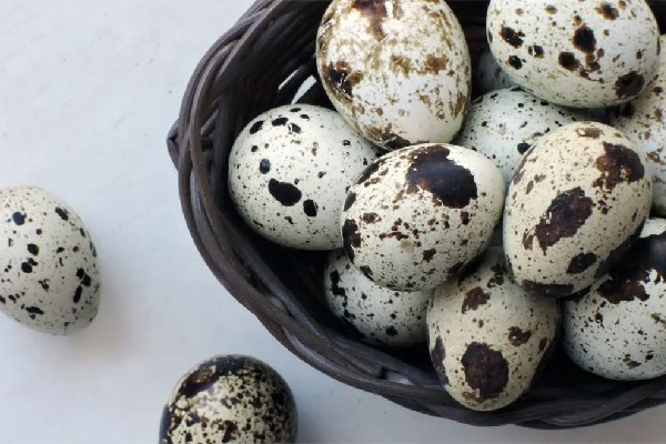 鵪鶉蛋和雞蛋哪個(gè)價(jià)值高 鵪鶉蛋和雞蛋能一起吃嗎 鵪鶉蛋和雞蛋哪個(gè)價(jià)值高 鵪鶉蛋和雞蛋能一起吃嗎