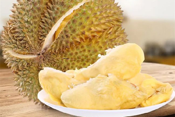 金枕榴蓮的口感和特點 金枕榴蓮的出肉率大概是多少 金枕榴蓮的口感和特點 金枕榴蓮的出肉率大概是多少
