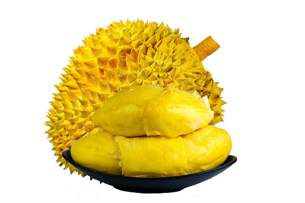 金枕榴蓮會不會有酒精味 金枕榴蓮有酒味還能吃嗎 金枕榴蓮會不會有酒精味 金枕榴蓮有酒味還能吃嗎