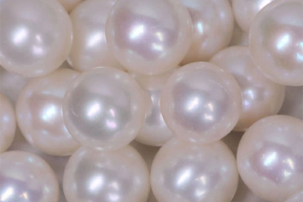 珍珠有收藏價值嗎 珍珠多大尺寸才有收藏價值 珍珠有收藏價值嗎 珍珠多大尺寸才有收藏價值