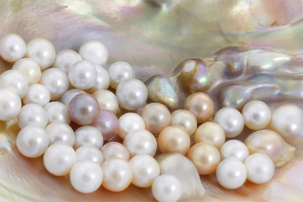 珍珠有收藏價值嗎 珍珠多大尺寸才有收藏價值 珍珠有收藏價值嗎 珍珠多大尺寸才有收藏價值