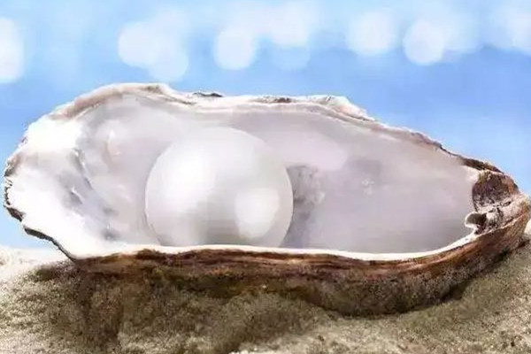 珍珠有核和無核的區(qū)別 珍珠有核好還是無核好 珍珠有核和無核的區(qū)別 珍珠有核好還是無核好