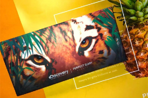 完美日記動物眼影盤會飛粉嗎 完美日記動物眼影盤和九色哪個(gè)好用 完美日記動物眼影盤會飛粉嗎 完美日記動物眼影盤和九色哪個(gè)好用