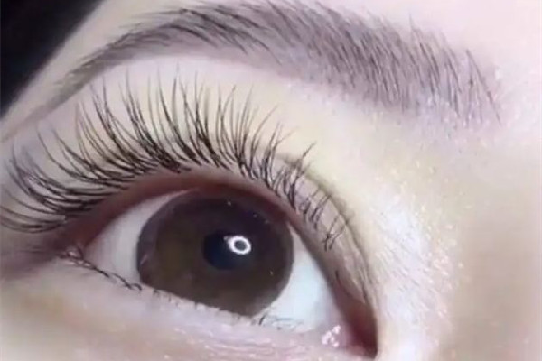 積玉橋春曉國際美容會(huì)所?君絲佳養(yǎng)發(fā)店做睫毛效果怎么樣 做睫毛自己睫毛會(huì)掉嗎 積玉橋春曉國際美容會(huì)所?君絲佳養(yǎng)發(fā)店做睫毛效果怎么樣 做睫毛自己睫毛會(huì)掉嗎