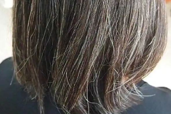 白頭發(fā)吃中藥能調(diào)理好嗎 白頭發(fā)多久能變黑 白頭發(fā)吃中藥能調(diào)理好嗎 白頭發(fā)多久能變黑