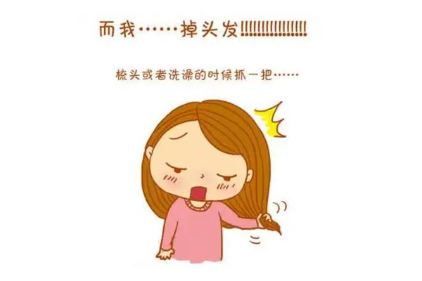 掉發(fā)會(huì)連著毛囊一起掉嗎 掉發(fā)會(huì)長(zhǎng)出新頭發(fā)嗎