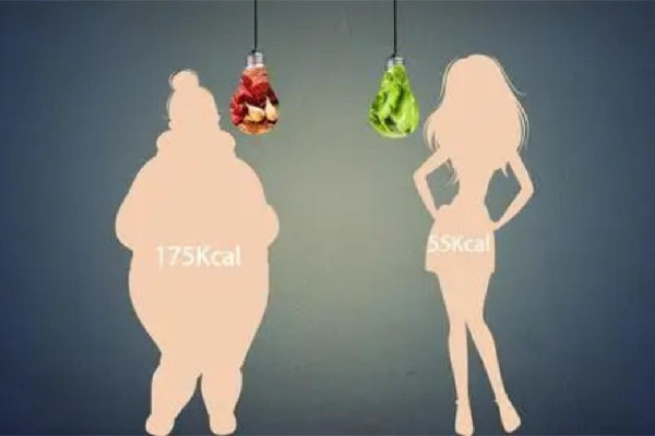 中南路MY科技纖體美膚連鎖店減肥塑身好嗎 減肥要怎么搭配飲食 中南路MY科技纖體美膚連鎖店減肥塑身好嗎 減肥要怎么搭配飲食