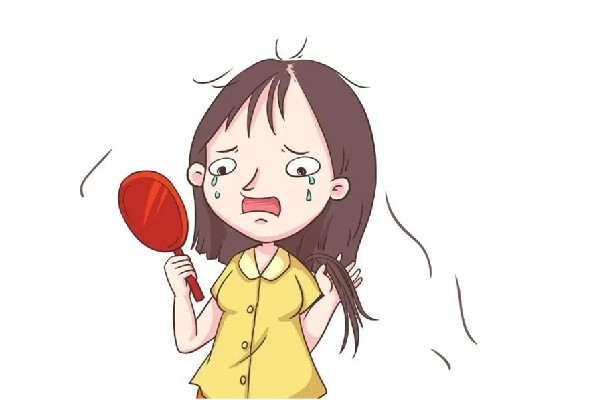 掉發(fā)會(huì)連著毛囊一起掉嗎 掉發(fā)會(huì)長(zhǎng)出新頭發(fā)嗎