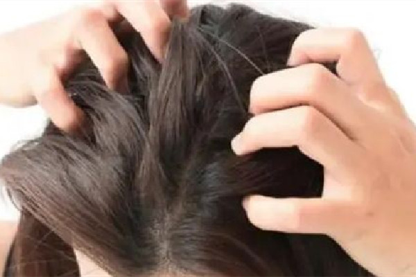 中南路蔤絲源Silk Origin新生養(yǎng)發(fā)美容中心頭發(fā)護理做的好嗎 頭發(fā)護理用什么 中南路蔤絲源Silk Origin新生養(yǎng)發(fā)美容中心頭發(fā)護理做的好嗎 頭發(fā)護理用什么