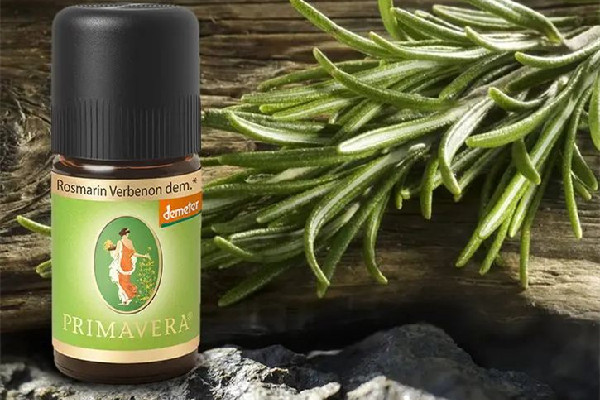 迷迭香精油真的能生發(fā)嗎 迷迭香精油可以直接涂抹頭發(fā)嗎 迷迭香精油真的能生發(fā)嗎 迷迭香精油可以直接涂抹頭發(fā)嗎