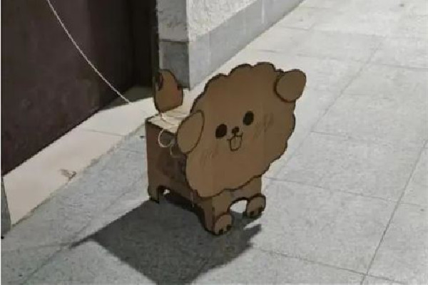 “紙盒狗”風(fēng)靡中國高校 紙盒狗的制作方法 “紙盒狗”風(fēng)靡中國高校 紙盒狗的制作方法