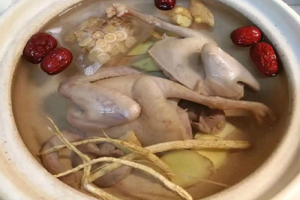 鴿子湯對傷口愈合有好處嗎 鴿子湯適合手術后的人喝嗎 鴿子湯對傷口愈合有好處嗎 鴿子湯適合手術后的人喝嗎