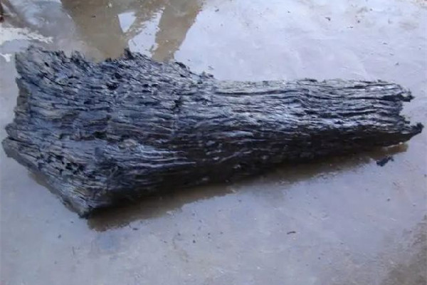 重慶嘉陵江現(xiàn)巨大陰沉木有盜割痕跡 陰沉木市場價(jià)格多少錢一斤