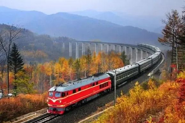 兒童按年齡可享受優(yōu)惠火車(chē)票 兒童高鐵票怎么買(mǎi)