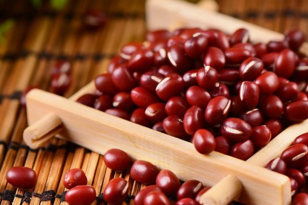 紅豆發(fā)豆芽可以吃嗎 紅豆發(fā)芽要多長(zhǎng)時(shí)間 紅豆發(fā)豆芽可以吃嗎 紅豆發(fā)芽要多長(zhǎng)時(shí)間