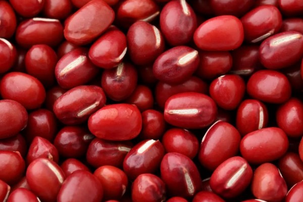 紅豆可以補(bǔ)氣血嗎 紅豆對身體的好處 紅豆可以補(bǔ)氣血嗎 紅豆對身體的好處
