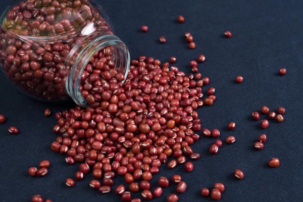 紅豆補(bǔ)血還是赤小豆補(bǔ)血 紅豆怎么吃補(bǔ)血效果最好 紅豆補(bǔ)血還是赤小豆補(bǔ)血 紅豆怎么吃補(bǔ)血效果最好